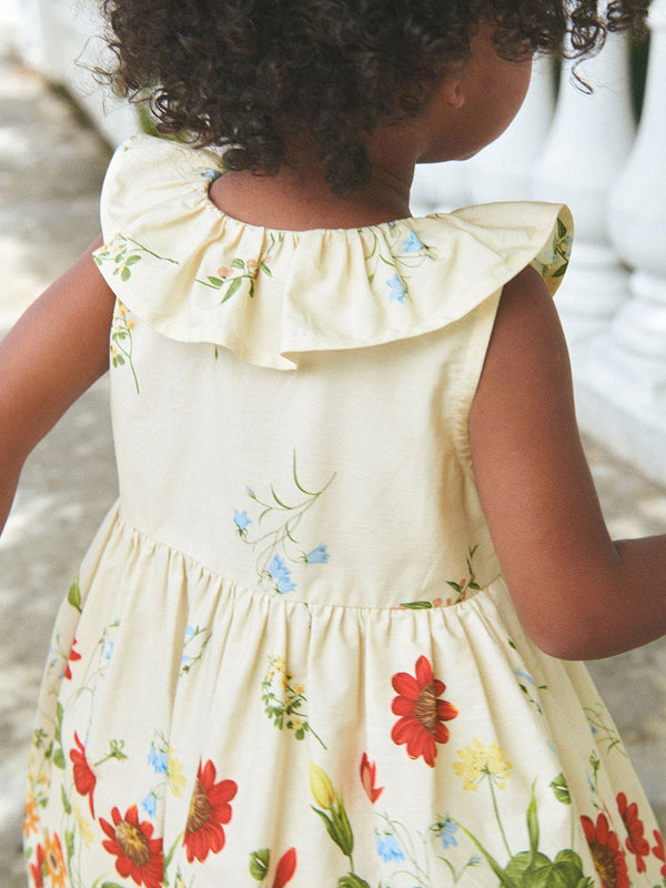 Toddlers & Kids Garden Ruffle Collar Dress - Yarafly