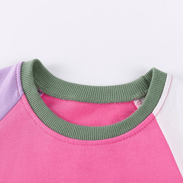 Little Maven Source Factory Children s Clothing Wholesale Autumn Girls Suit Applique Embroidered Cartoon Two Child Suit image 2