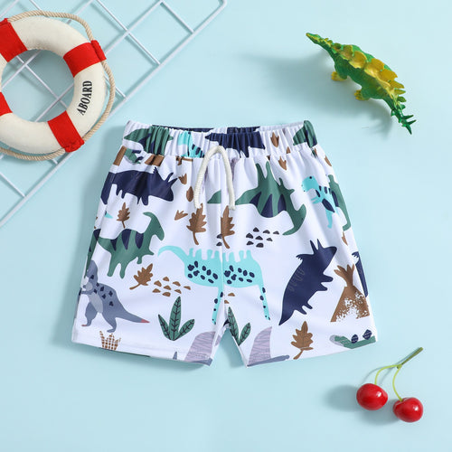 Baby & Toddler Boy Dinosaur Print Swim Shorts