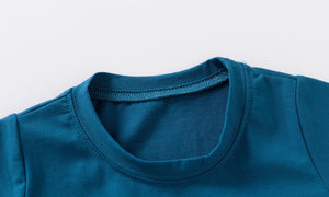 Dinosaur T-shirt Short Set
