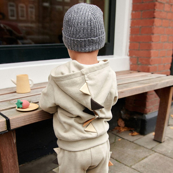 Toddler & Kids Dinosaur Hoodie and Pants Set – Beige 2T to 7T