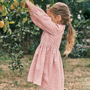 Kids and Toddler Charming Pink Floral Long Sleeve Dress