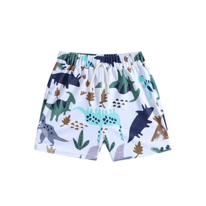 Baby & Toddler Boy Dinosaur Print Swim Shorts
