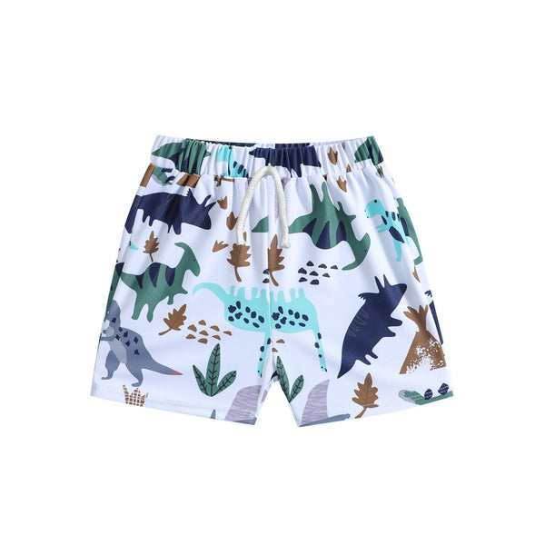 Baby & Toddler Boy Dinosaur Print Swim Shorts