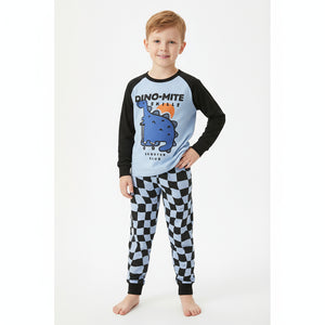 Toddler and Kids Boys Blue Navy Blue Round Neck Long Sleeve Casual Loungewear Set