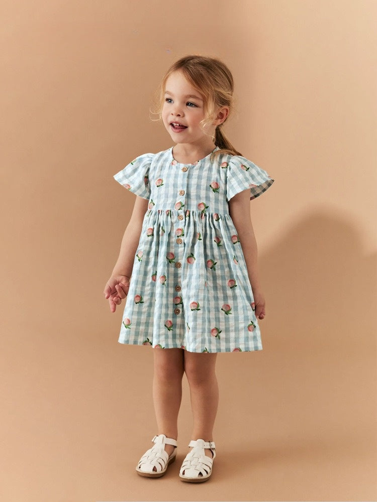 Little Girl Floral Print Dress