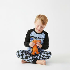 Toddler and Kids Boys Blue Navy Blue Round Neck Long Sleeve Casual Loungewear Set