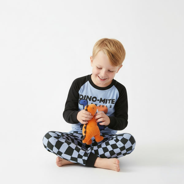 Toddler and Kids Boys Blue Navy Blue Round Neck Long Sleeve Casual Loungewear Set